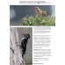 Habitats of North America - A field guide for birders, naturalists and ecologists