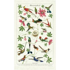 Greeting Card - Hummingbirds