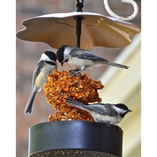Copper-coloured Roof Multi-Purpose Feeder