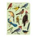 Mini Bird Notebooks (Set of 3)