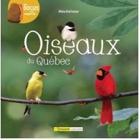 Oiseaux du Québec (French)