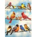 Puzzle 500 pieces - Birds on a wire