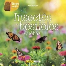 Insectes - bestioles du Québec - Mes docus pour emporter