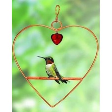 Perchoir en forme de coeur pour colibri