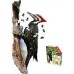 Casse-tête 300 morceaux - I am Woodpecker