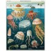 Puzzle 1000 Pieces - Jellyfish