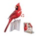 Puzzle 300 Pieces - I am Cardinal