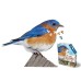 Puzzle 300 pieces - I am Bluebird