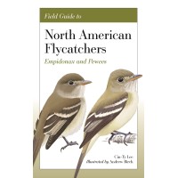 Field Guide to North American Flycatchers: Empidonax and Pewees