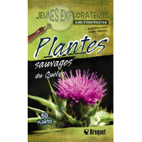 Plantes sauvages Québec (Guide Jeunes explorateurs)