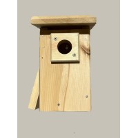 Tree Swallow nesting box