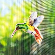 Protège-moustiquaire aimanté - Colibri