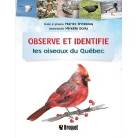 Observe et identifie les oiseaux du Québec