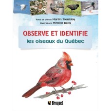 Observe et identifie les oiseaux du Québec