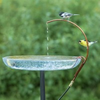 Universal dripper for bird bath 