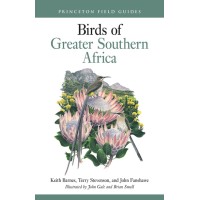 Birds of Greater Southern Africa.