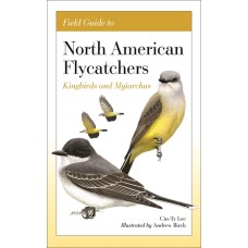 Field Guide to N. A. Flycatchers: Kingbirds and Myiarchus