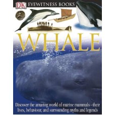 Eyewitness Whale