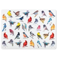 Placemat - Birds of North America