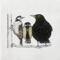 Large Bird Conversation Paper Napkins - 20 Pack