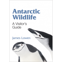 Antarctic Wildlife: A Visitor's Guide