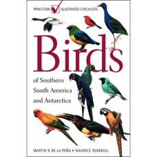 Birds of Southern South America