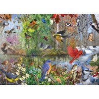 Puzzle 1000 pieces - Birds by seasons