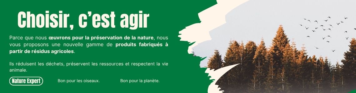 Earthy Sustainable