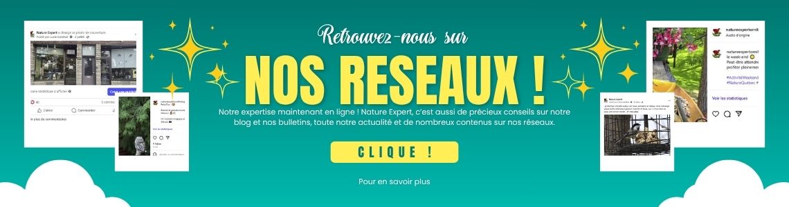 Suivez Nature Expert sur les réseaux sociaux