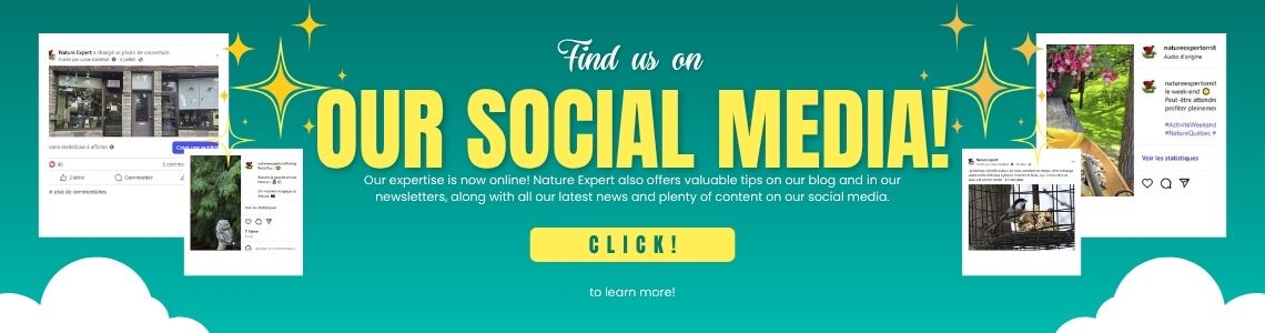 Follow Nature Expert on Social Media