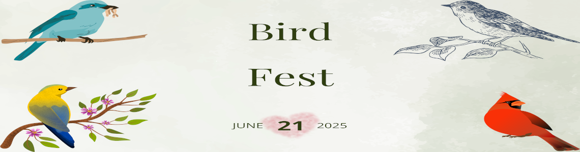 Bird Fest