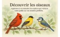 Découvrir les oiseaux (2)