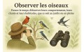 Sites et conseils d’observation (1)