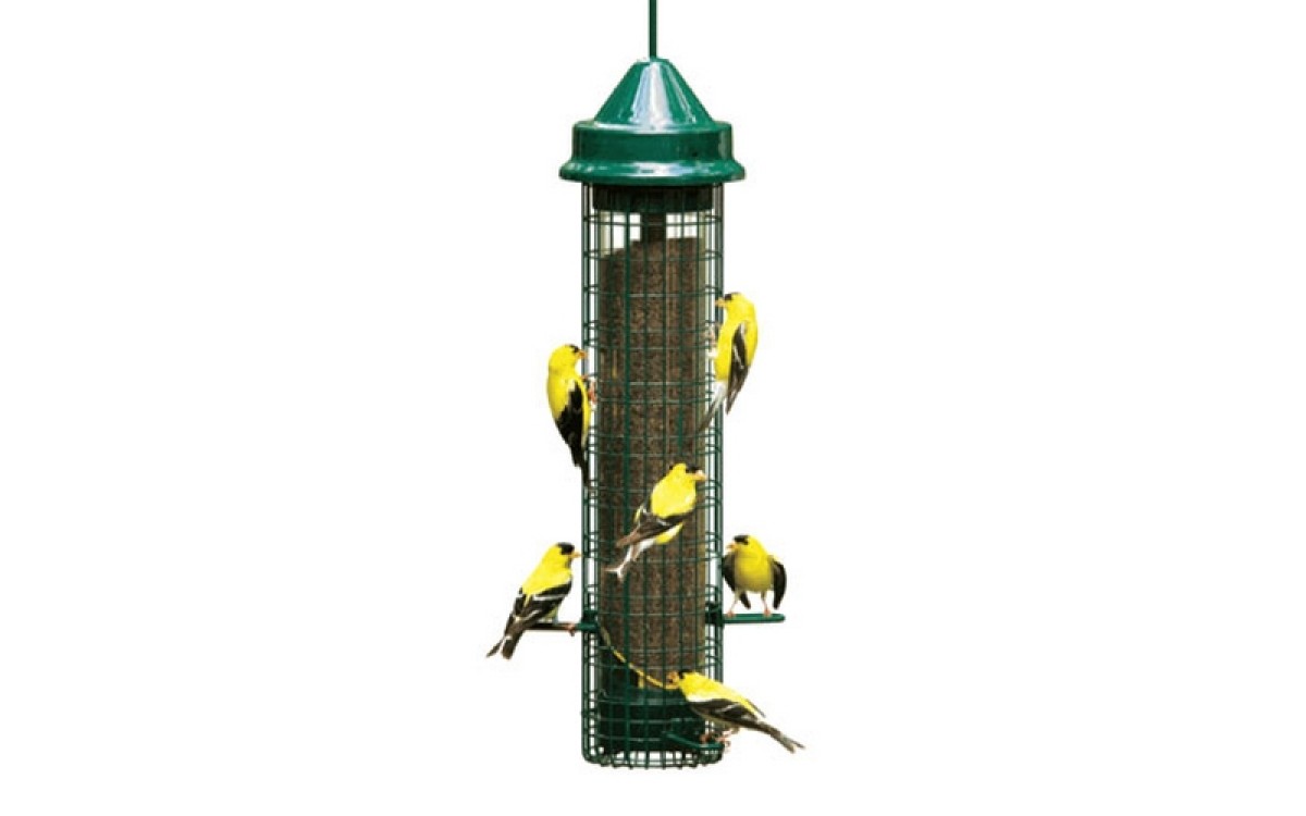 Comment choisir une mangeoire d’oiseaux ? Guide pratique pour attirer les bons oiseaux