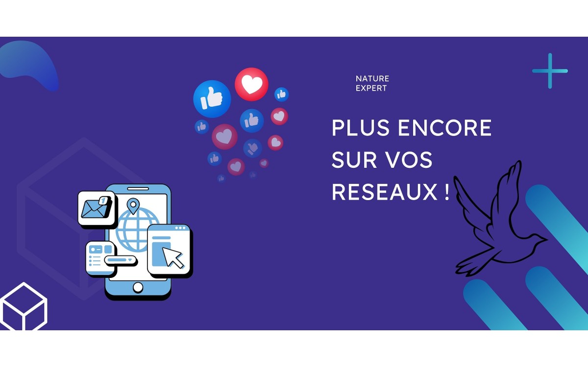 Icônes des réseaux sociaux Nature Expert