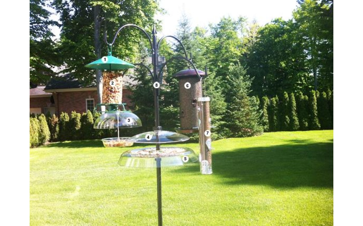 Attirez une large variété d'oiseaux avec cette configuration idéale de mangeoires