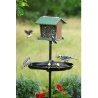 Seed Buster Tray Feeder & Seed Catcher