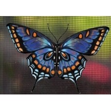 Protège-moustiquaire aimanté - Papillon tigré bleu