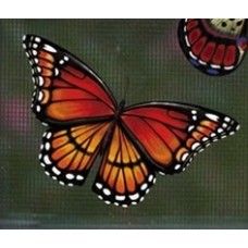 Magnetized Screen Saver - Monarch