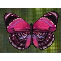 Magnetized Screen Saver - Pink butterfly 