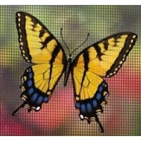 Magnetized Screen Saver - Tiger Swallowtail