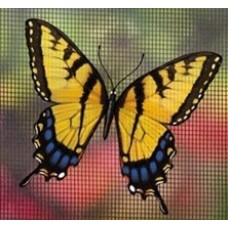 Protège-moustiquaire aimanté - Papillon tigré