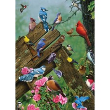 Puzzle 1000 pieces - Birds of the Forest