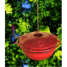 Coffret Cadeau – Pause colibris au jardin