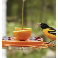 Gift Box – Gourmet Orioles – Deluxe Edition fait