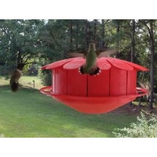 Gift basket – To attract… and keep hummingbirds