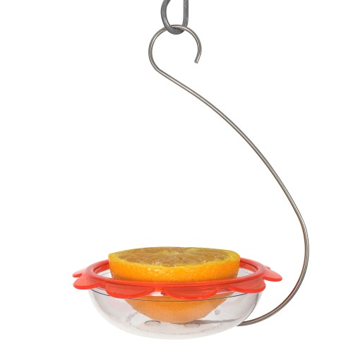 Droll Yankees Hanging Oriole Feeder