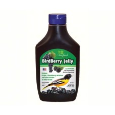 BirdBerry Jelly for Orioles