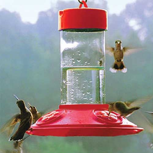 Shrdaepe Mangeoire pour colibri, mangeoire en verre pour oiseaux, 5 ports  d'alimentation (rouge et jaune) : : Terrasse et Jardin
