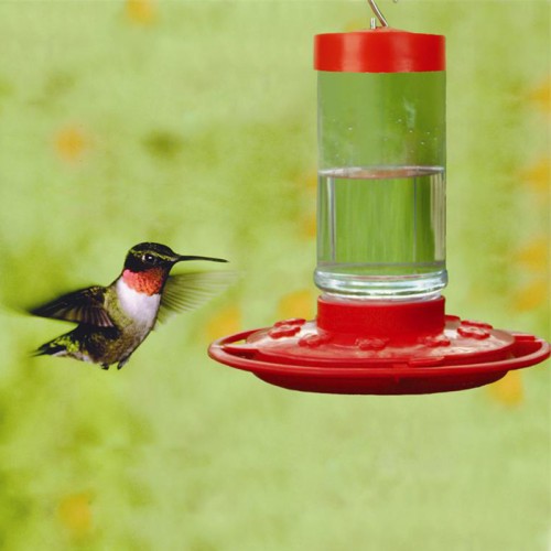 First Nature Hummingbird Feeder 